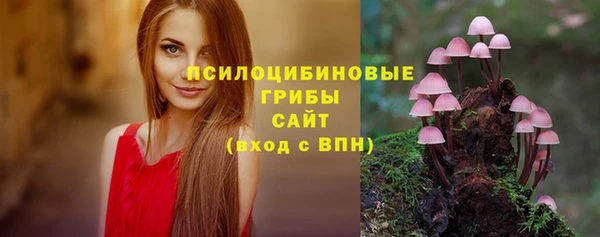 прущие грибы Армянск