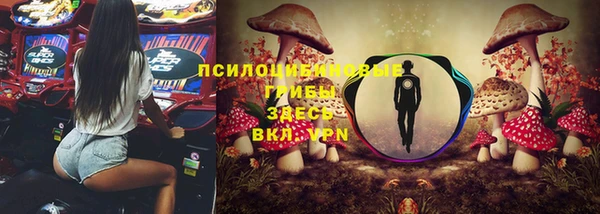 прущие грибы Армянск