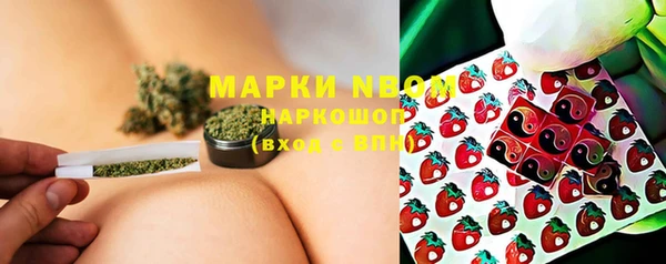 трава Аркадак